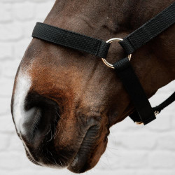 Capestro in nylon Kentucky Nero