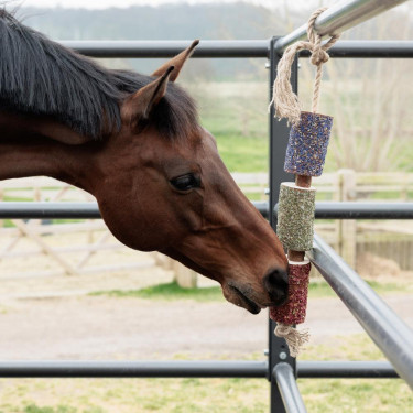 Giocattolo rilassante per cavalli in legno naturale | Equitazione