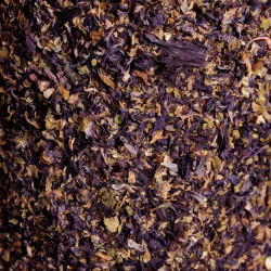 Giocattolo rilassante per cavalli in legno naturale | Equitazione Giocattolo rilassante per cavalli in legno naturale | Equitazione