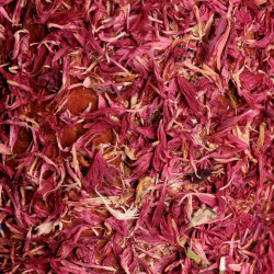 Giocattolo rilassante per cavalli in legno naturale | Equitazione Giocattolo rilassante per cavalli in legno naturale | Equitazione
