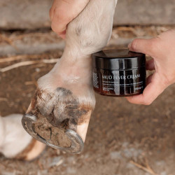 Crema antibatterica equitazione per fango cavalli
