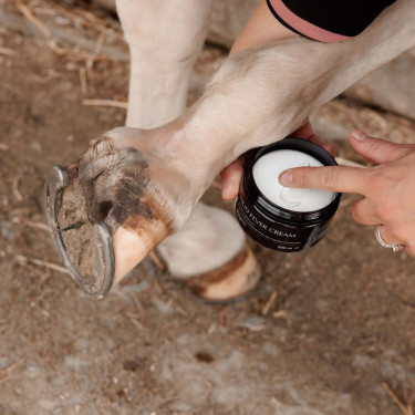 Crema antibatterica equitazione per fango cavalli