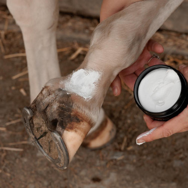 Crema antibatterica equitazione per fango cavalli