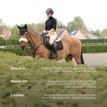 Integratore vitaminico cavalli Kentucky Vital Grooming Integratore vitaminico cavalli Kentucky Vital Grooming