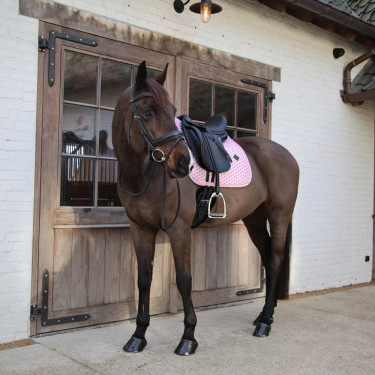 Sottosella Kentucky Sammy Collection Dressage Rosa antico sammy