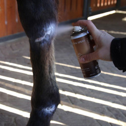 Spray allo zinco per cavalli Kentucky | Cura pelle e zoccoli