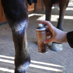 Spray allo zinco per cavalli Kentucky | Cura pelle e zoccoli