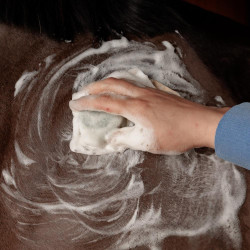 Shampoo Solido Grooming Deluxe by Kentucky Propoli Multicolore