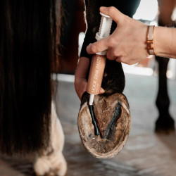 Pasta zinco per zoccoli cavallo – Kentucky Equi Hoof