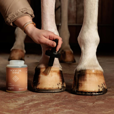 Olio per piedi Shine Grooming Deluxe by Kentucky Naturale Marrone