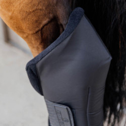 Stinchiere riposo posteriori equitazione garretto Kentucky