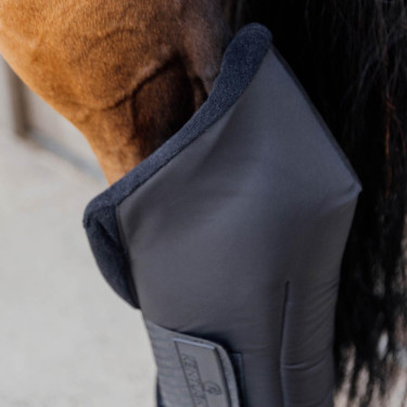 Stinchiere riposo posteriori equitazione garretto Kentucky