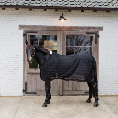 Coperta anti-mosche leggera a righe Kentucky Nero Coperta anti-mosche leggera a righe Kentucky Nero