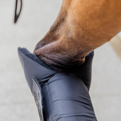 Stivaletti da box PROtect per anteriori versione lunga Kentucky Nero