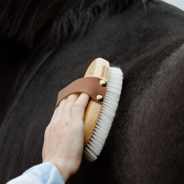 Spazzola morbida in pelo di capra per cavalli | Equi-Clic Spazzola morbida in pelo di capra per cavalli | Equi-Clic