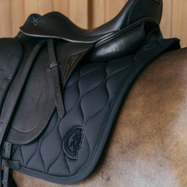 Sottosella Kentucky Wave Dressage Nero