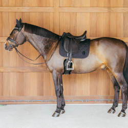 Sottosella Kentucky Wave Dressage Nero