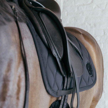 Sottosella Kentucky Wave Dressage Nero