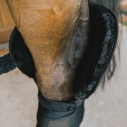 Sotto Fascia da Scuderia e da Trasporto con Protezione del Garretto Kentucky Nero Sotto Fascia da Scuderia e da Trasporto con Protezione del Garretto Kentucky Nero