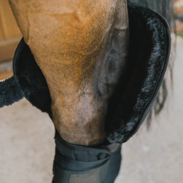 Sotto Fascia da Scuderia e da Trasporto con Protezione del Garretto Kentucky Nero Sotto Fascia da Scuderia e da Trasporto con Protezione del Garretto Kentucky Nero