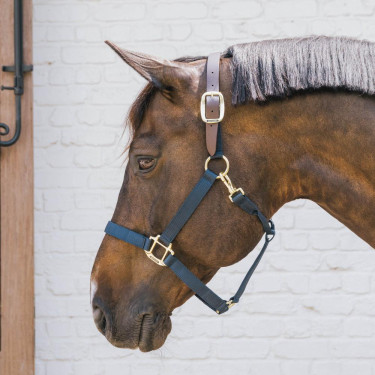 Capestro cavallo nylon Breakaway sicurezza Kentucky
