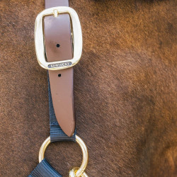 Capestro cavallo nylon Breakaway sicurezza Kentucky