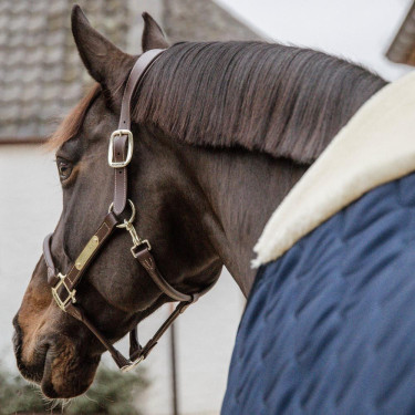 Coperta da scuderia cavallo Kentucky Comfort | Equitazione