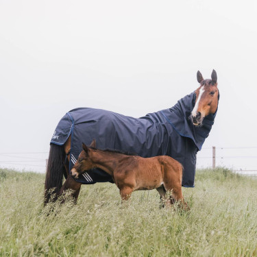 Coperta impermeabile cavallo Kentucky – Equitazione outdoor Coperta impermeabile cavallo Kentucky – Equitazione outdoor