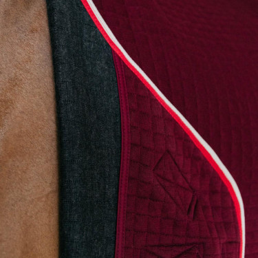 Coperta asciugante per cavallo PROtherm Kentucky | Equitazione