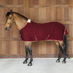 Coperta asciugante per cavallo PROtherm Kentucky | Equitazione