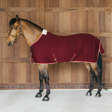 Coperta asciugante per cavallo PROtherm Kentucky | Equitazione