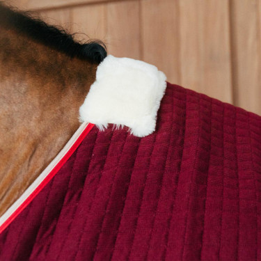 Coperta asciugante per cavallo PROtherm Kentucky | Equitazione