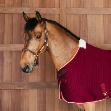 Coperta asciugante per cavallo PROtherm Kentucky | Equitazione