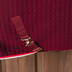 Coperta asciugante per cavallo PROtherm Kentucky | Equitazione