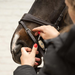 Briglia da equitazione Dy'on Working anatomica Nero Full