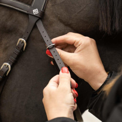 Briglia da equitazione Dy'on Working anatomica Nero Full