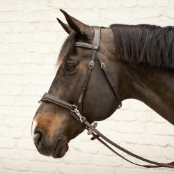 Briglia da equitazione Dy'on Working anatomica Nero Full