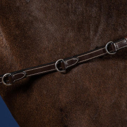 Redini Howlett Dy'on equitazione in gomma 1/2" con 7 passanti