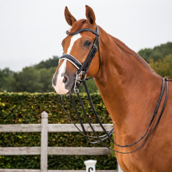 Briglia Dy'on collezione dressage cuoio piatto Capezzina Large Verniciata Fodera Bianca Nero
