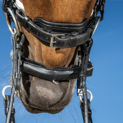 Briglia Dy'on collezione dressage cuoio piatto Capezzina Large Verniciata Fodera Bianca Nero