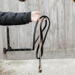 Linea di presentazione cavallo in pelle vegana Kentucky