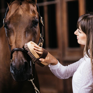 Spazzola morbida cavallo Kentucky Grooming Deluxe Spazzola morbida cavallo Kentucky Grooming Deluxe
