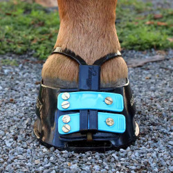 Cinghia anti-fango Scoot mud strap