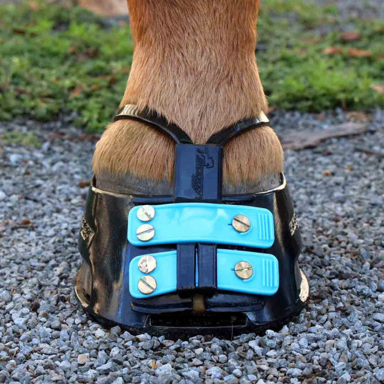 Cinghia anti-fango Scoot mud strap