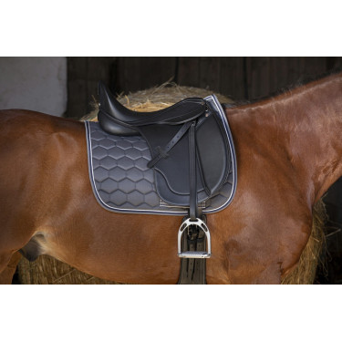 Sella da dressage Norton Club Rexine Evol Sella da dressage Norton Club Rexine Evol