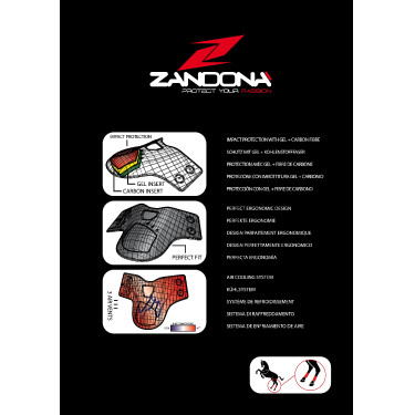 Paratendini Carbon Air Balance Zandona Paratendini Carbon Air Balance Zandona