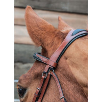 Bridon Lautrec T de T Havana scuro / nero Marrone Bridon Lautrec T de T Havana scuro / nero Marrone