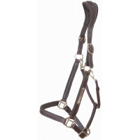 Capestro in Pelle con Placchetta e Capezzina Anatomica T de T Marrone scuro Capestro in Pelle con Placchetta e Capezzina Anatomica T de T Marrone scuro