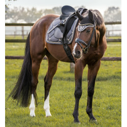 Sottosella CSO Night Collection Back On Track Grigio