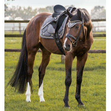 Sottosella CSO Night Collection Back On Track Grigio